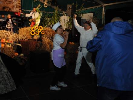 Dożynki Gminne w Drogomyślu 2017